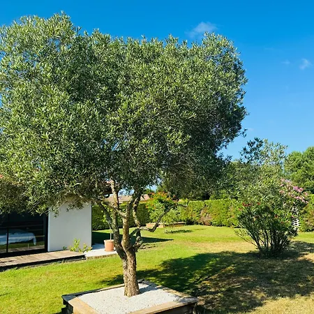 Villa Piscine A 5 Min De L'ocean